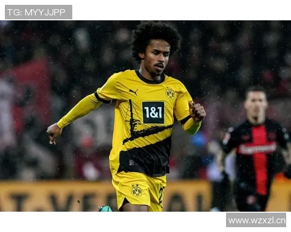 多特蒙德球员身价大幅波动阿德耶米领涨1500万欧元