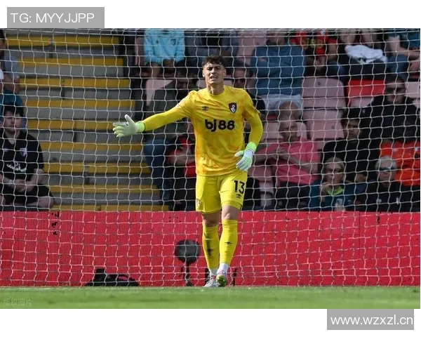 前阿森纳门将策划拳击赛切尔西热刺传奇球员同台竞技