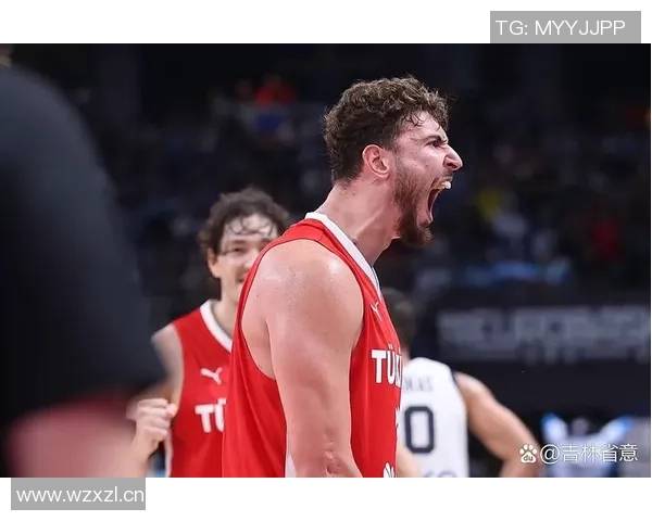 申京本赛季数据全面爆发得分篮板助攻均创生涯新高